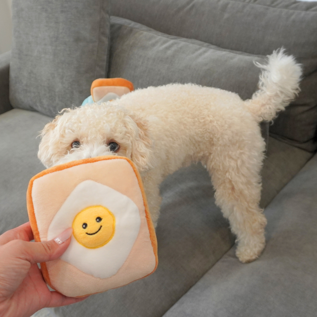 Toast & Treat 3-in-1 Interactive Set – Crinkle, Squeak & Hide-and-Seek Enrichment Dog Toys