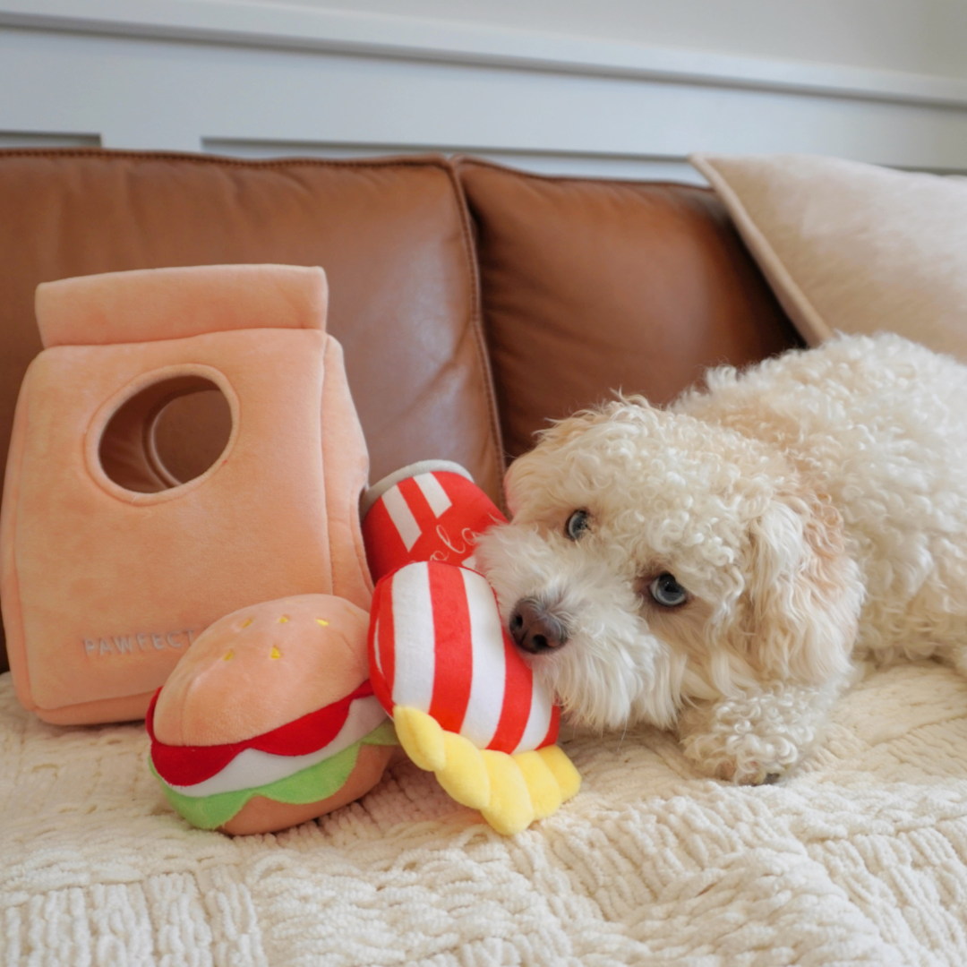 Pawfect Lunch Pack 4-in-1 Interactive Set – Crinkle, Squeak & Hide-and-Seek Enrichment Dog Toys