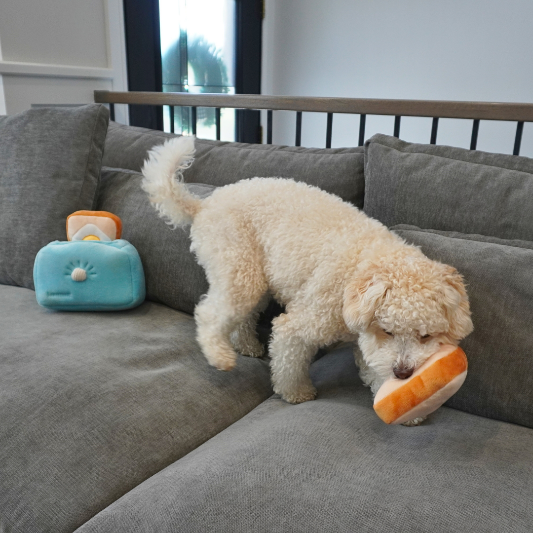 Toast & Treat 3-in-1 Interactive Set – Crinkle, Squeak & Hide-and-Seek Enrichment Dog Toys
