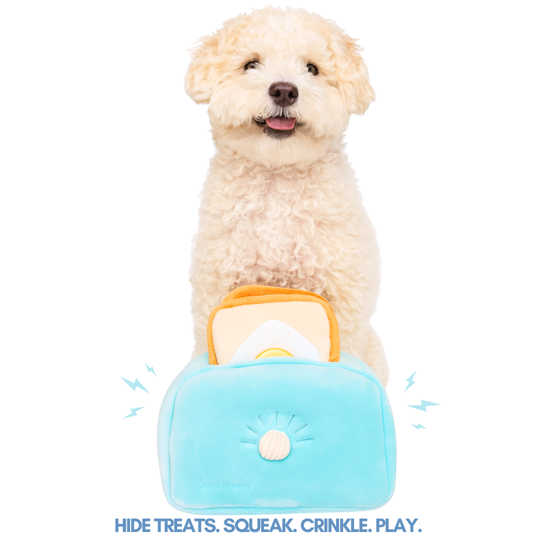 Toast & Treat 3-in-1 Interactive Set – Crinkle, Squeak & Hide-and-Seek Enrichment Dog Toys